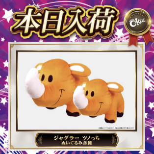 入荷画像