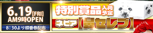 入荷画像